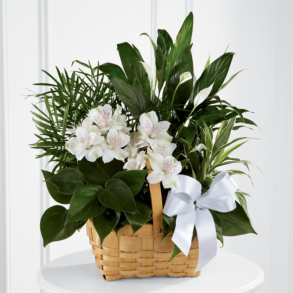 Peace & Serenity Dishgarden – NITA'S FLOWERS & GIFTS, Marlow OK