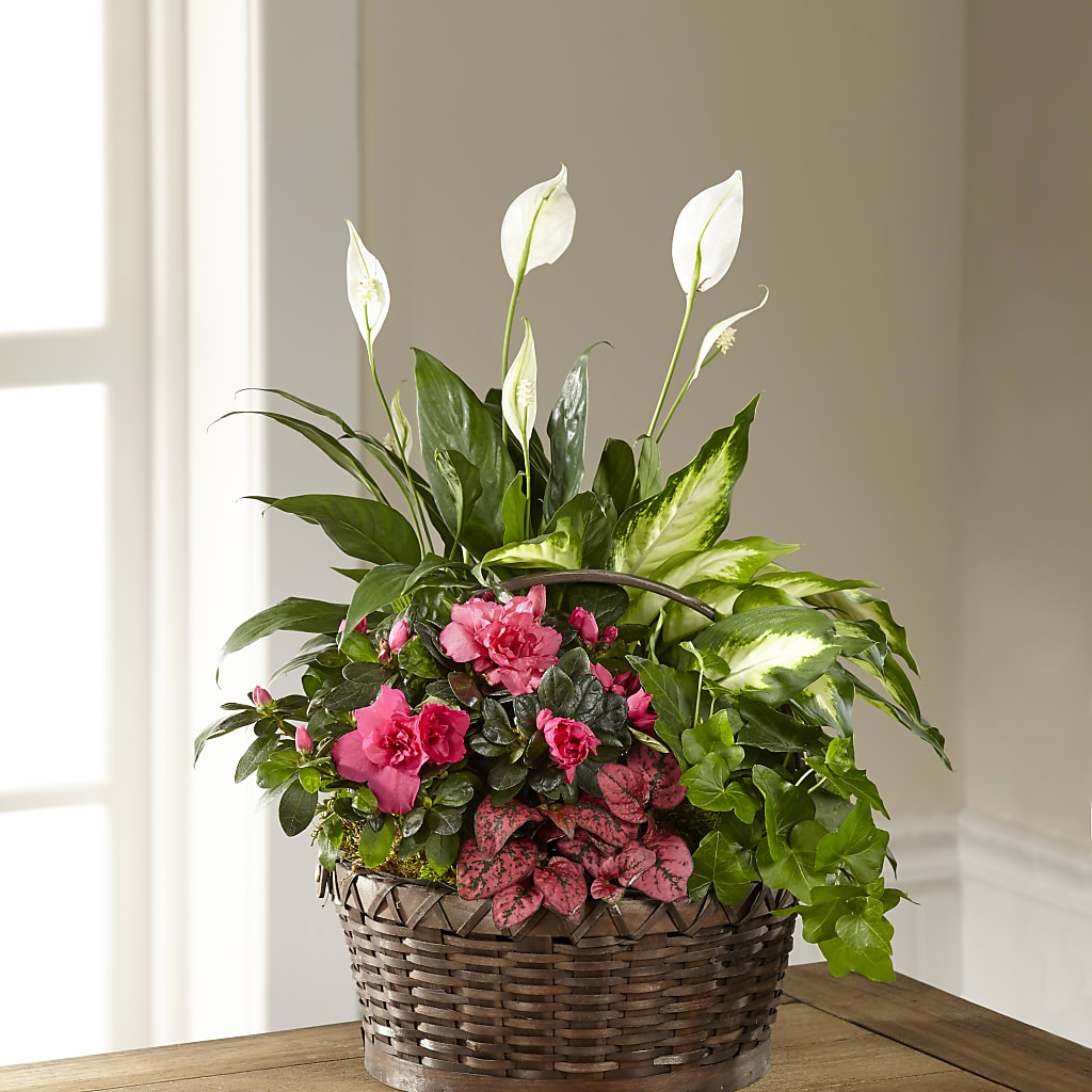 Dream in Pink Dishgarden – NITA'S FLOWERS & GIFTS, Marlow OK