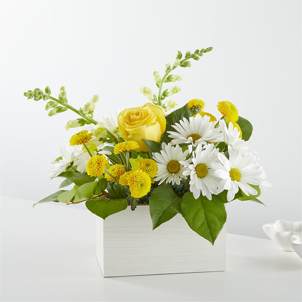 Sun Salutation Box Bouquet – NITA'S FLOWERS & GIFTS, Marlow OK