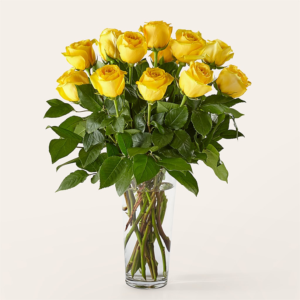 Long Stem Yellow Rose Bouquet – NITA'S FLOWERS & GIFTS, Marlow OK