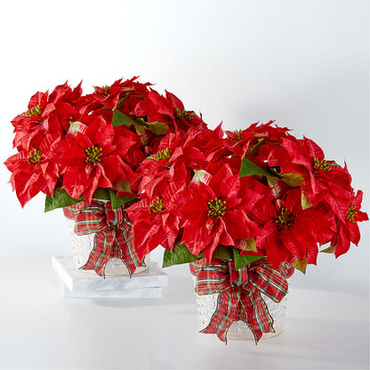 Happiest Holidays Poinsettia Bundle – NITA'S FLOWERS & GIFTS, Marlow OK