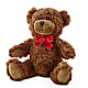 Adorable Plush Bear – NITA'S FLOWERS & GIFTS, Marlow OK