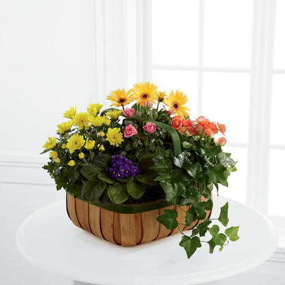 Gentle Blossoms Basket – NITA'S FLOWERS & GIFTS, Marlow OK