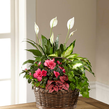 Dream in Pink Dishgarden – NITA'S FLOWERS & GIFTS, Marlow OK