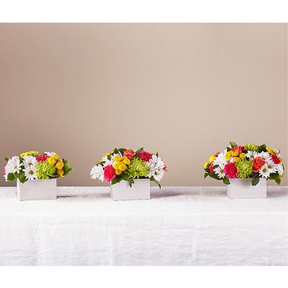 Sorbet Bouquet – NITA'S FLOWERS & GIFTS, Marlow OK