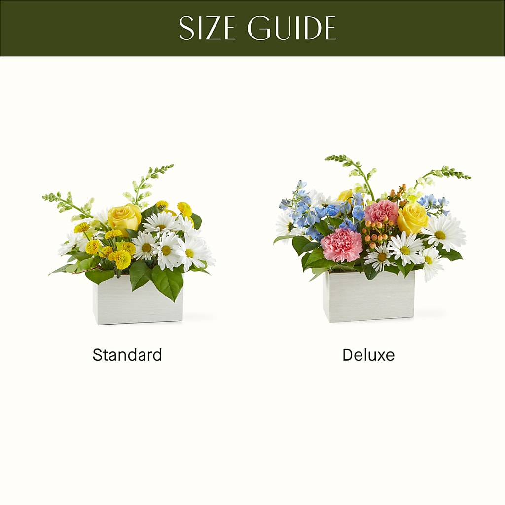 Sun Salutation Box Bouquet – NITA'S FLOWERS & GIFTS, Marlow OK