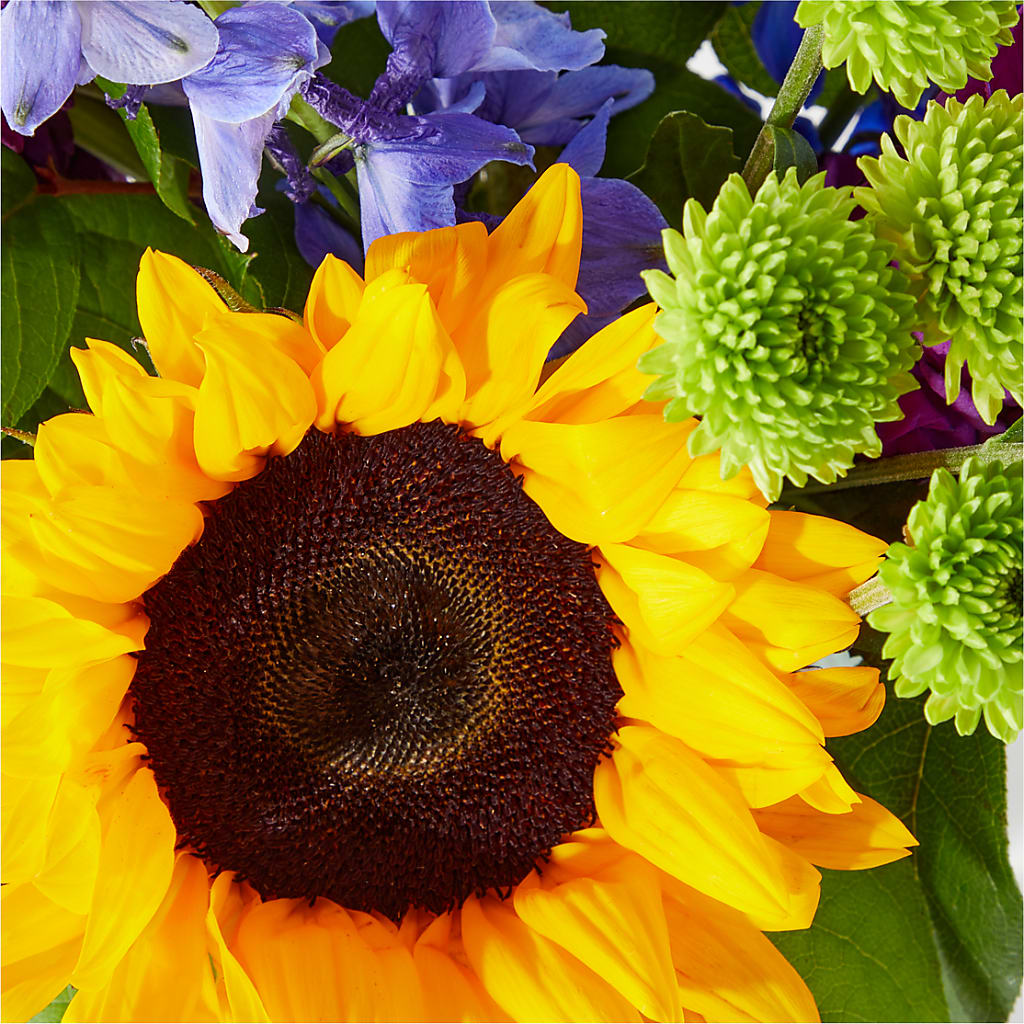 Catching Rays Bouquet – NITA'S FLOWERS & GIFTS, Marlow OK