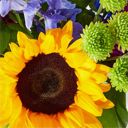 Catching Rays Bouquet – NITA'S FLOWERS & GIFTS, Marlow OK