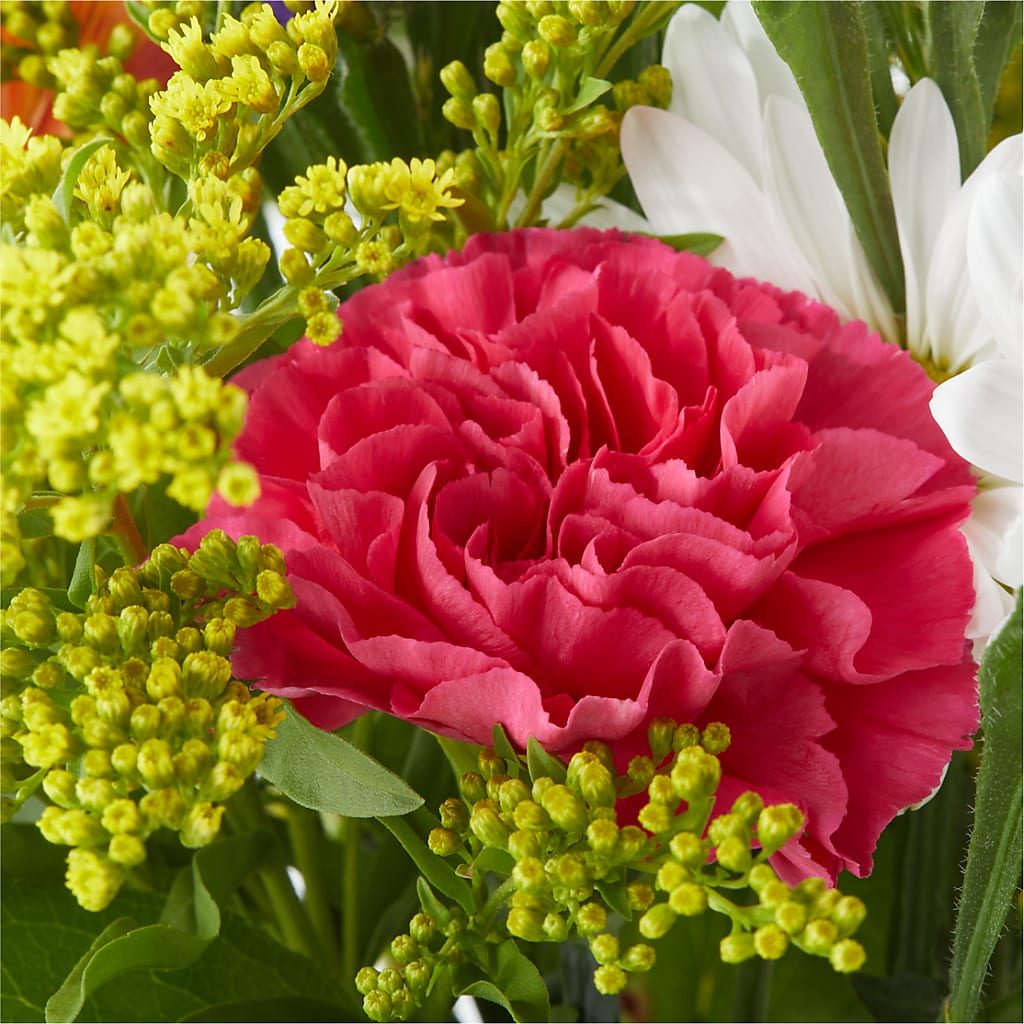 Oopsie Daisy Bouquet – NITA'S FLOWERS & GIFTS, Marlow OK