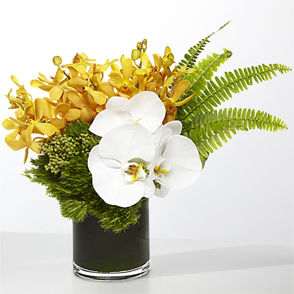 The Tropics – NITA'S FLOWERS & GIFTS, Marlow OK