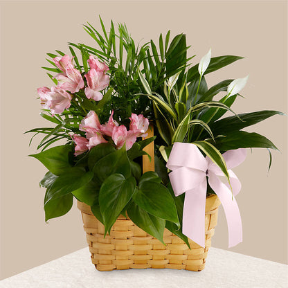Living Spirit Dishgarden – NITA'S FLOWERS & GIFTS, Marlow OK