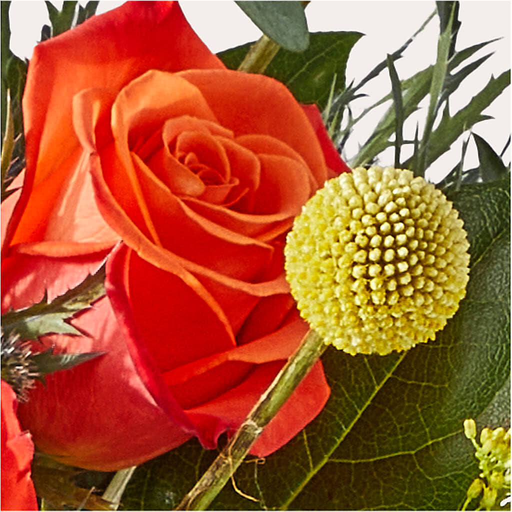 Disco Bouquet – NITA'S FLOWERS & GIFTS, Marlow OK