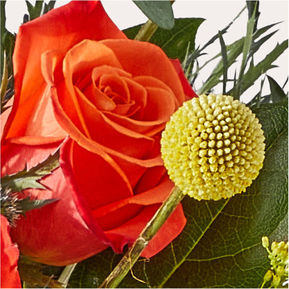 Disco Bouquet – NITA'S FLOWERS & GIFTS, Marlow OK