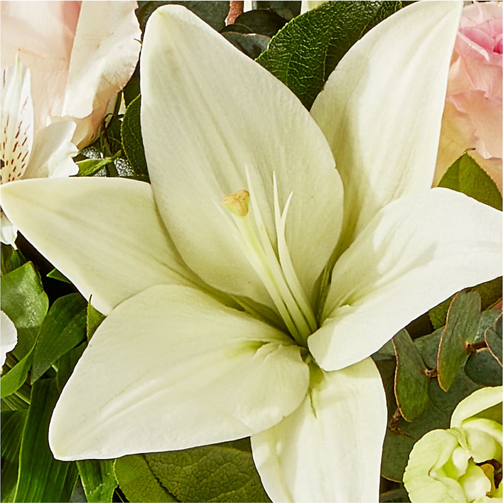 Ballet Slippers Bouquet – NITA'S FLOWERS & GIFTS, Marlow OK